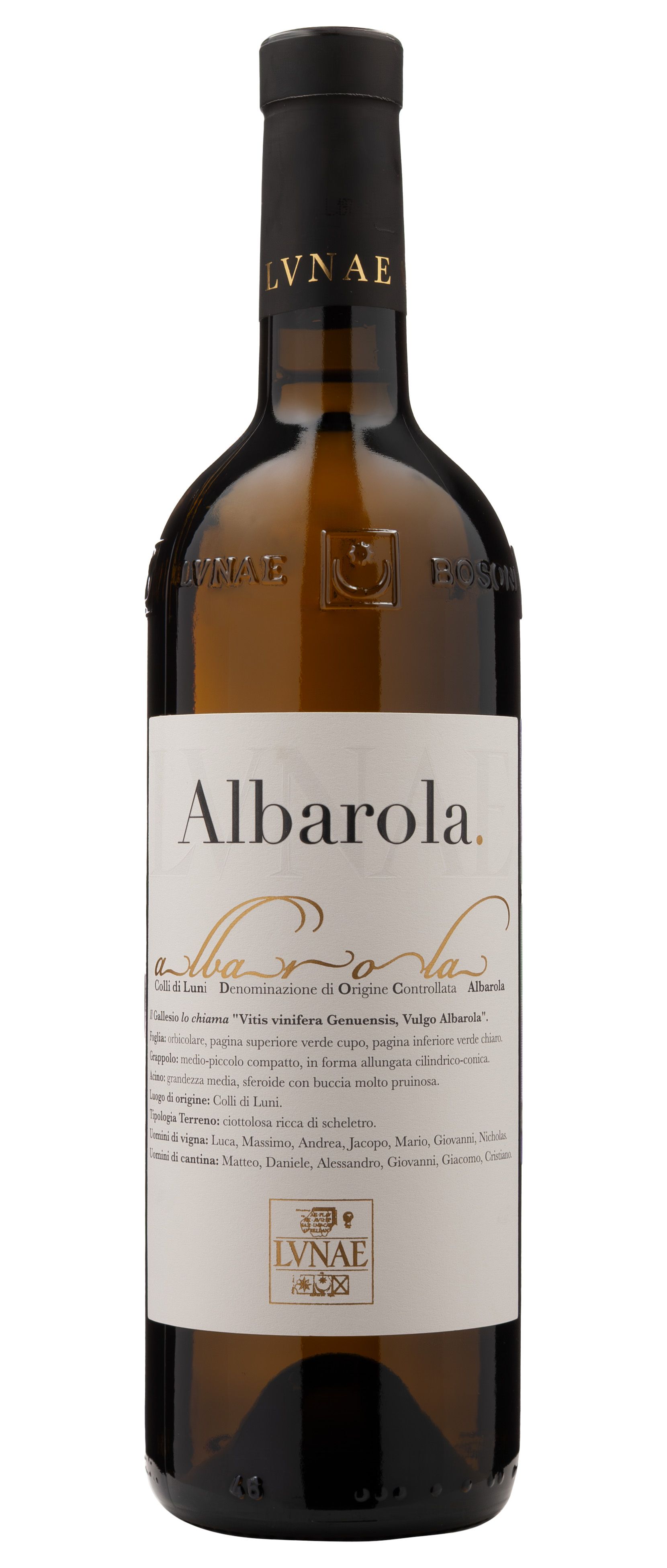 Cantine Lunae, Albarola, 2024