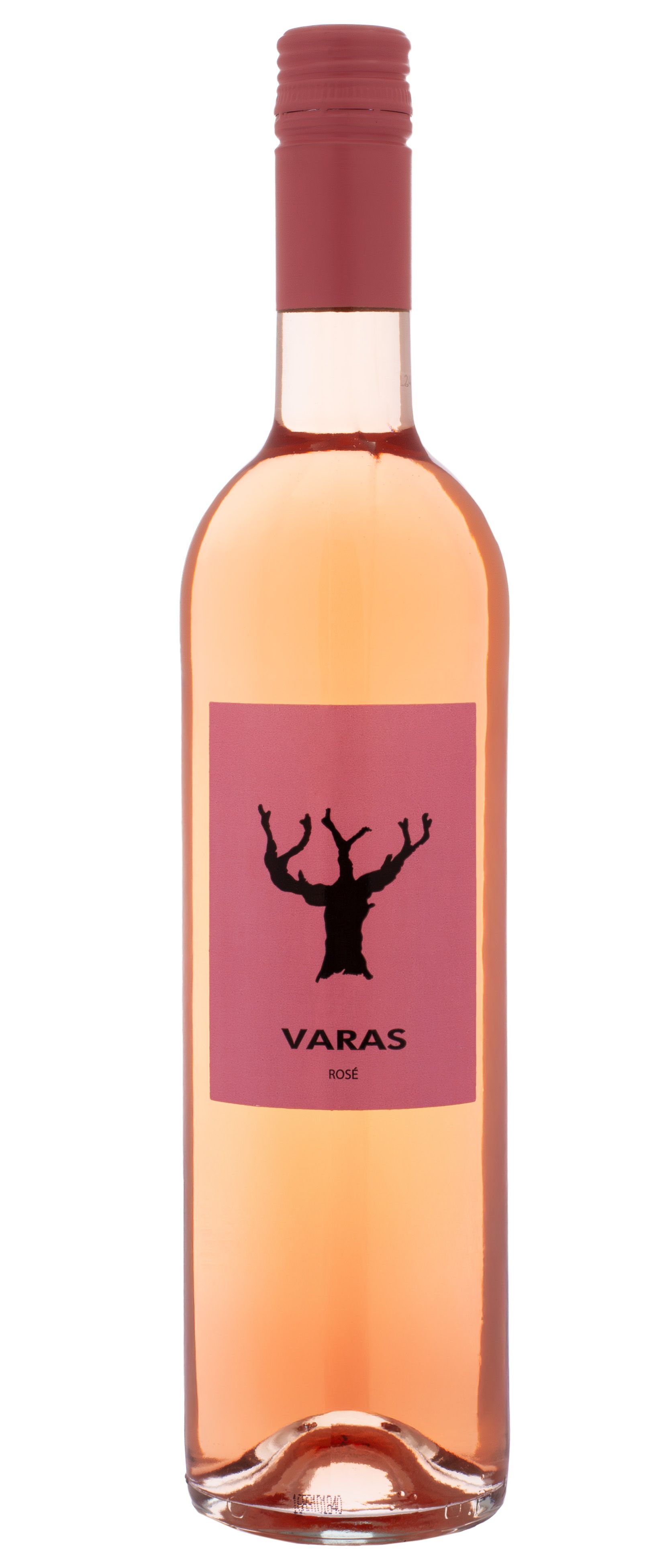Casa Santos Lima, Varas Rose, 2023