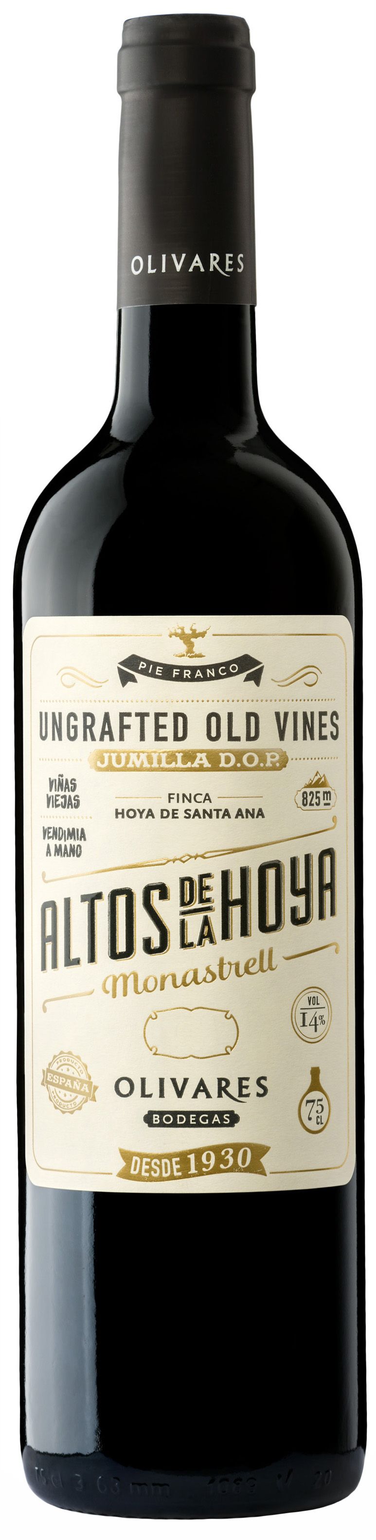 Olivares, Altos De La Hoya, 2023